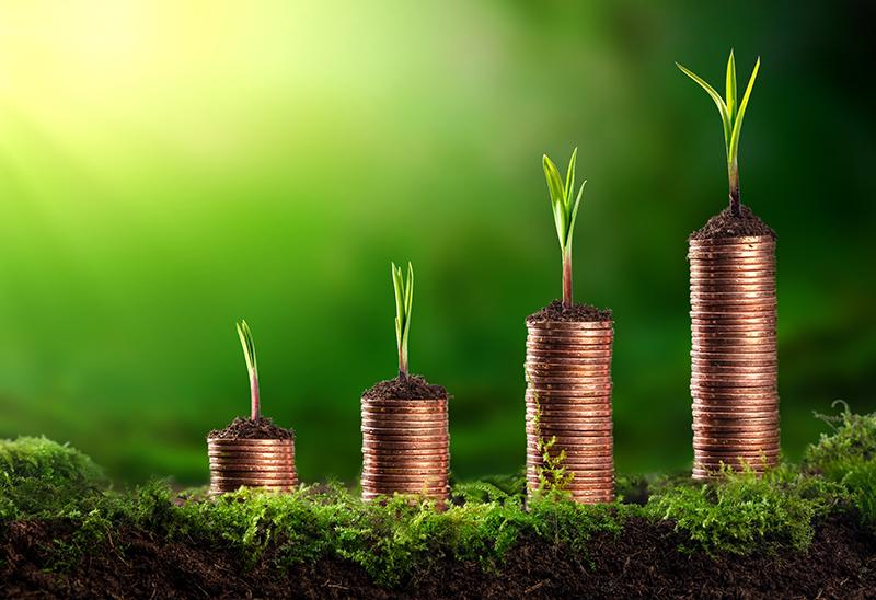 financial growth